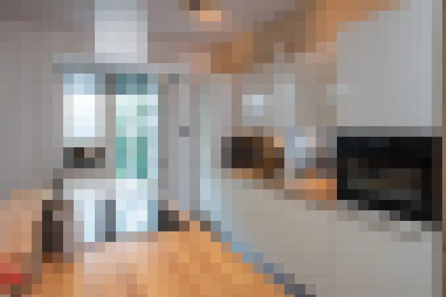 Schijfmos 12 Nieuwerkerk aan den IJssel thumbnail 4