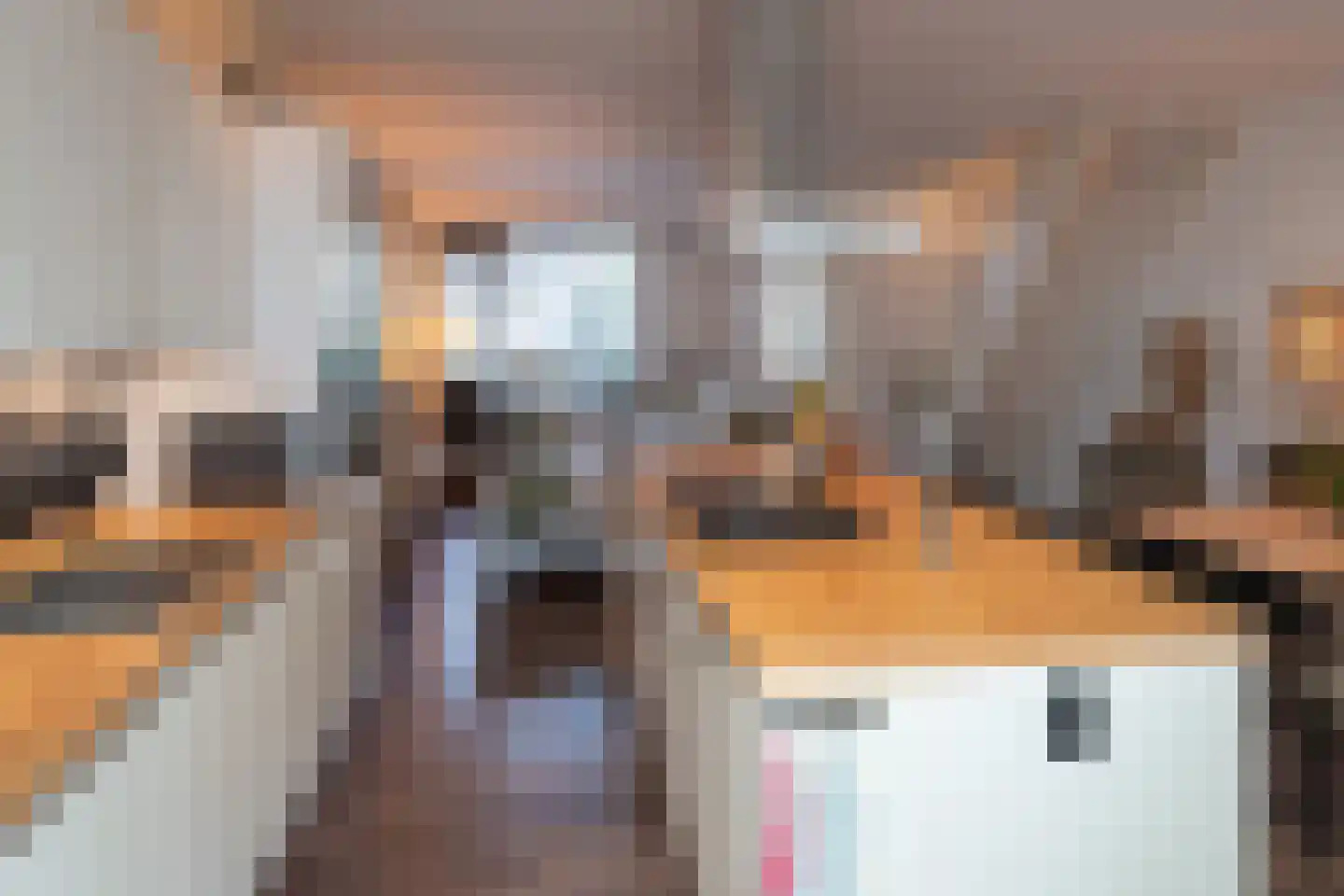 Schijfmos 12 Nieuwerkerk aan den IJssel thumbnail 5