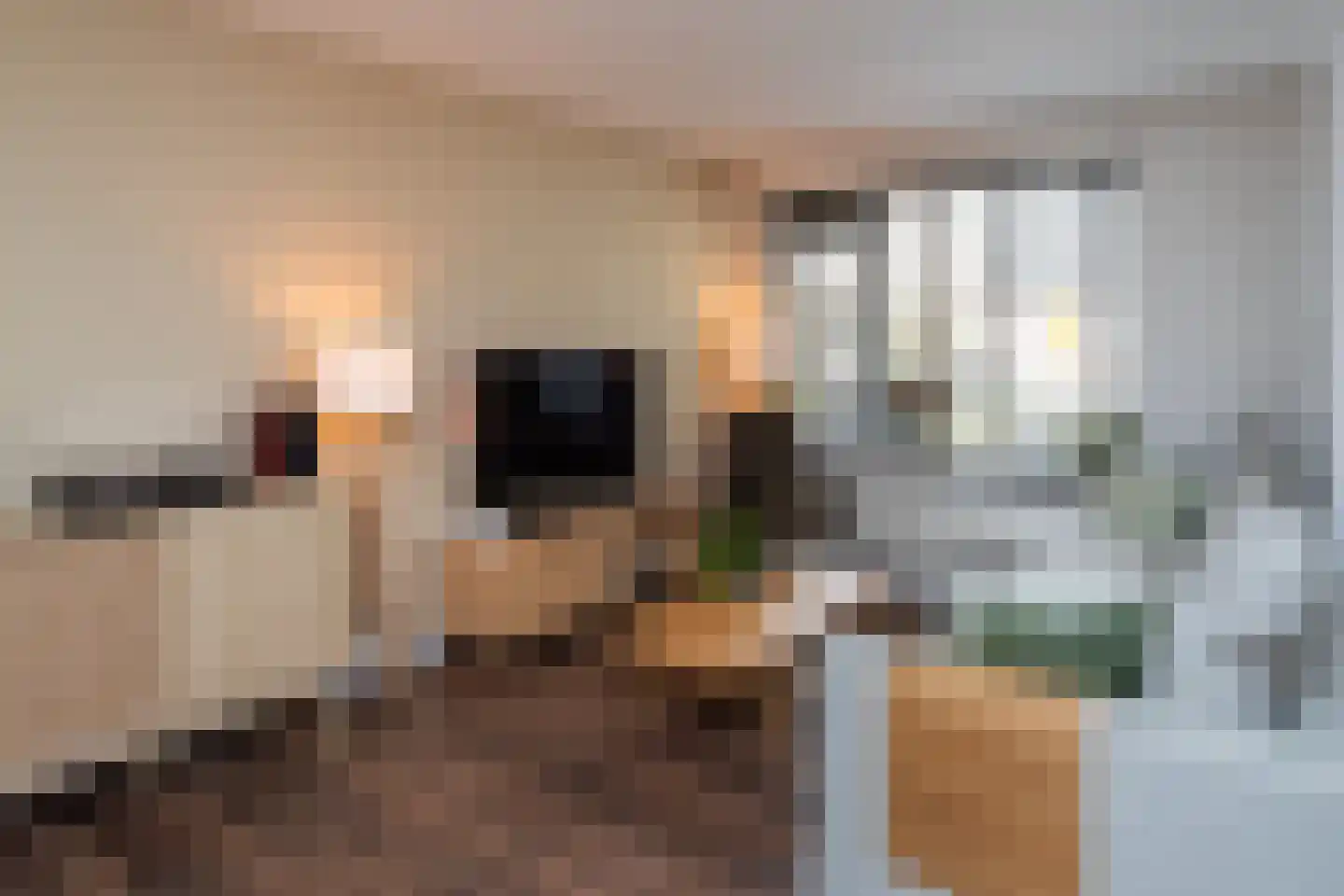 Schijfmos 12 Nieuwerkerk aan den IJssel thumbnail 6