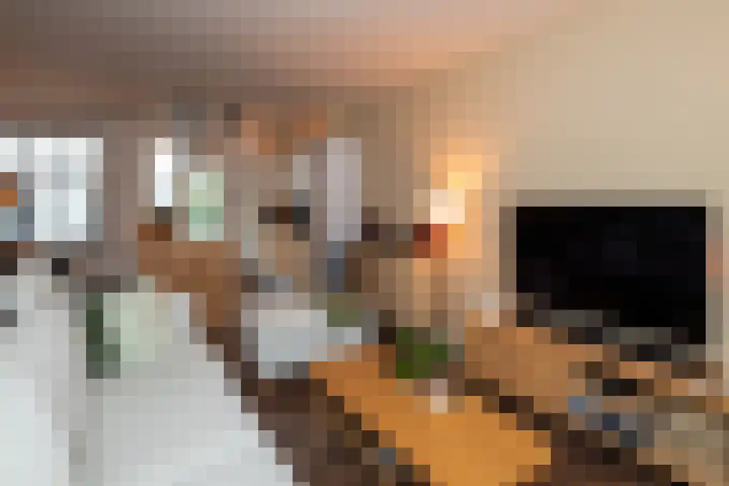 Schijfmos 12 Nieuwerkerk aan den IJssel thumbnail 7