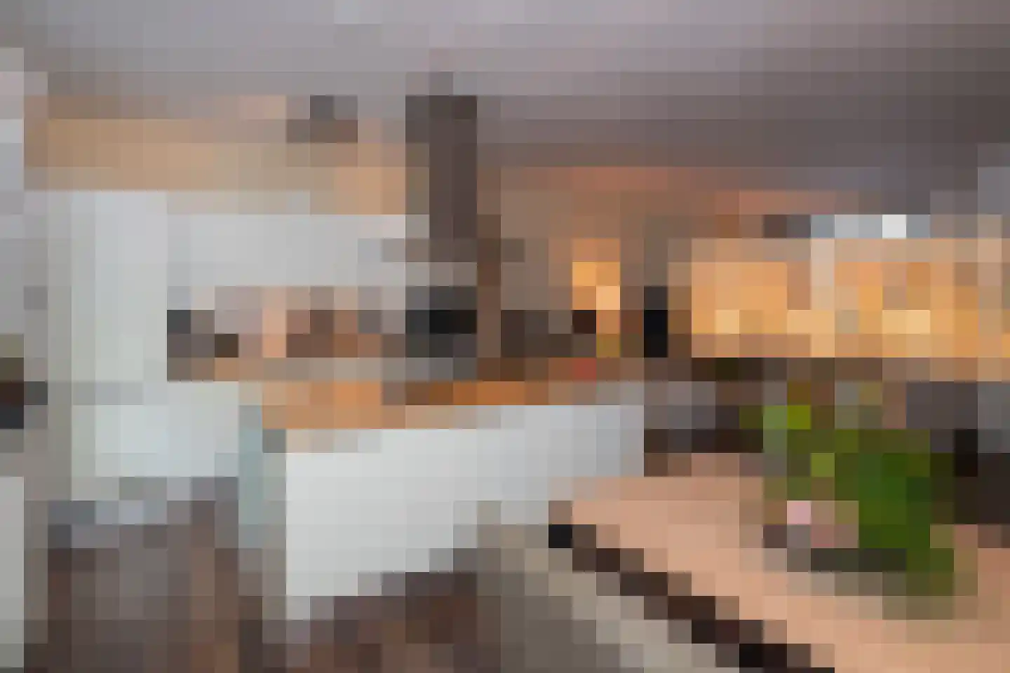 Schijfmos 12 Nieuwerkerk aan den IJssel thumbnail 8