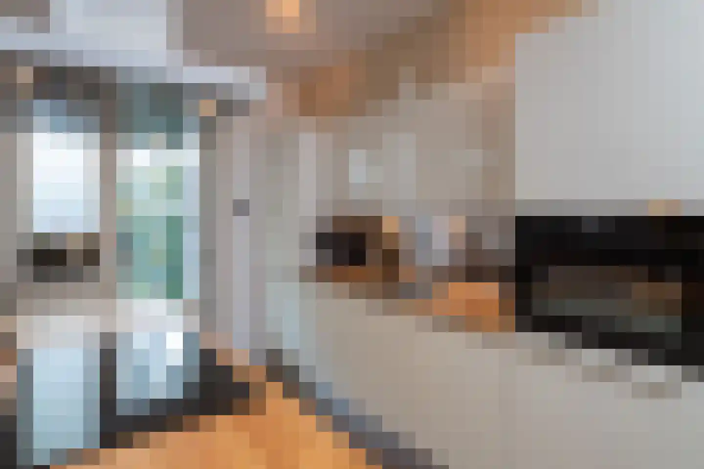 Schijfmos 12 Nieuwerkerk aan den IJssel thumbnail 9