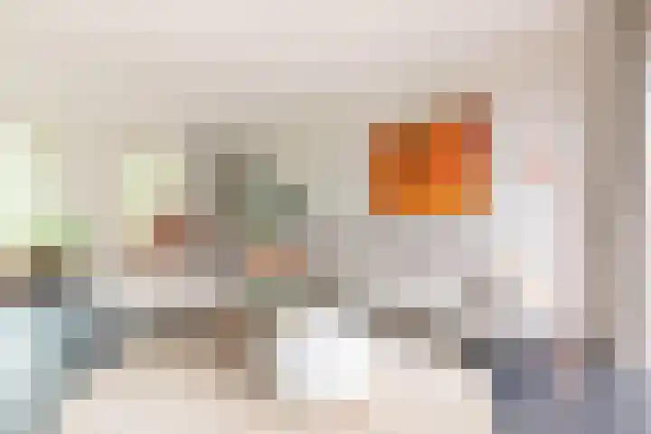 Schijfmos 15 Houten thumbnail 14