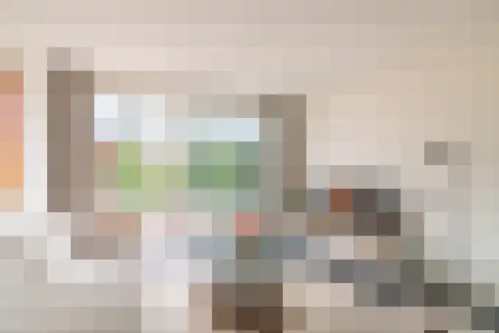 Schijfmos 15 Houten thumbnail 16