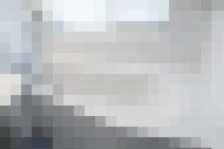 Schijfmos 15 Houten thumbnail 22