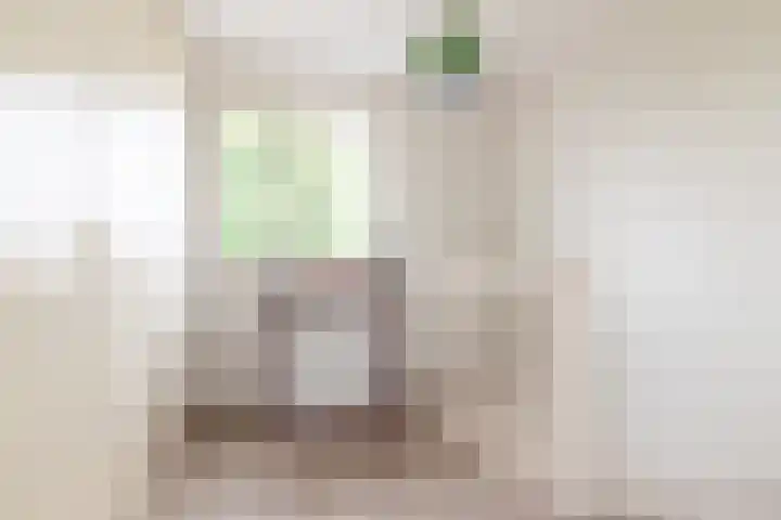 Schijfmos 15 Houten thumbnail 25