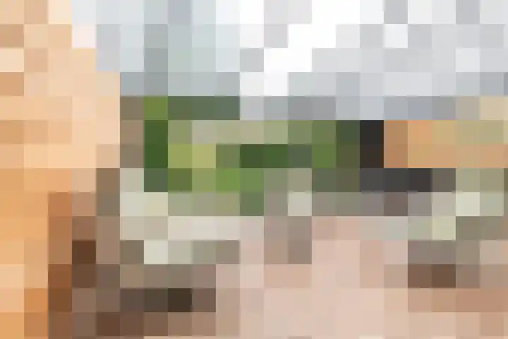 Schijfmos 15 Houten thumbnail 28