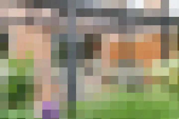 Schijfmos 15 Houten thumbnail 29