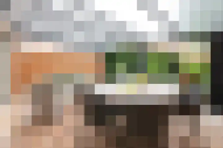 Schijfmos 15 Houten thumbnail 30