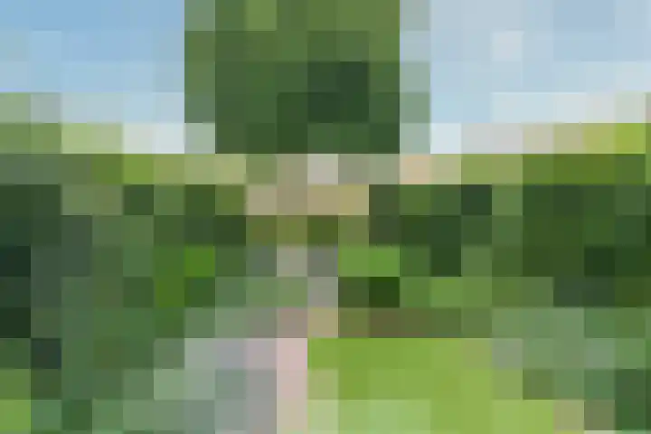 Schijfmos 15 Houten thumbnail 32