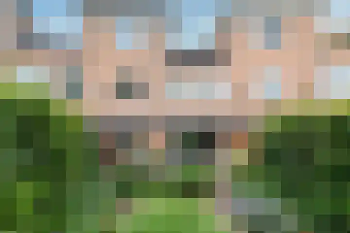 Schijfmos 15 Houten thumbnail 33