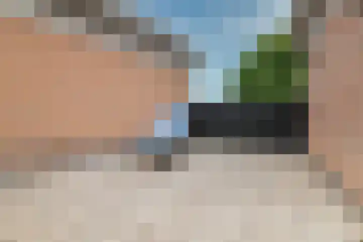 Schijfmos 15 Houten thumbnail 35
