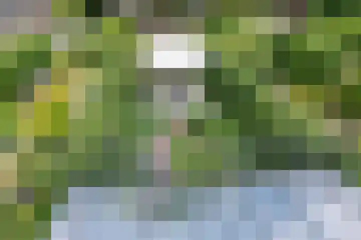 Schijfmos 15 Houten thumbnail 36