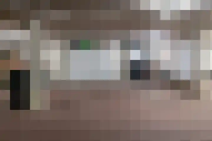 Schijfmos 15 Houten thumbnail 39