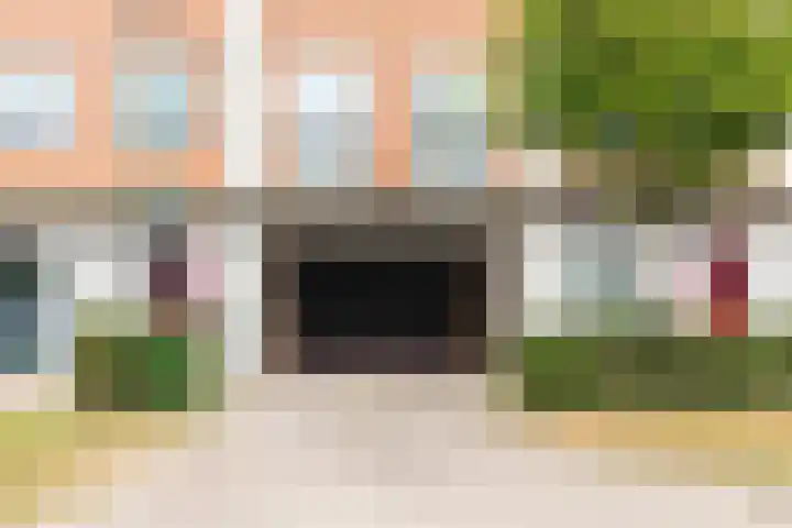 Schijfmos 15 Houten thumbnail 40