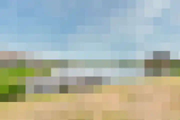 Schijfmos 15 Houten thumbnail 41