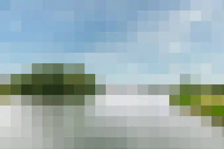 Schijfmos 15 Houten thumbnail 42
