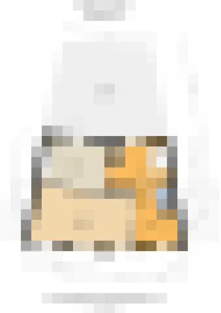 Schijfmos 15 Houten thumbnail 43