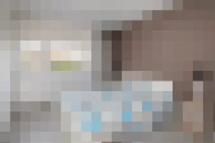 Schijfmos 20 Nieuwerkerk aan den IJssel thumbnail 11