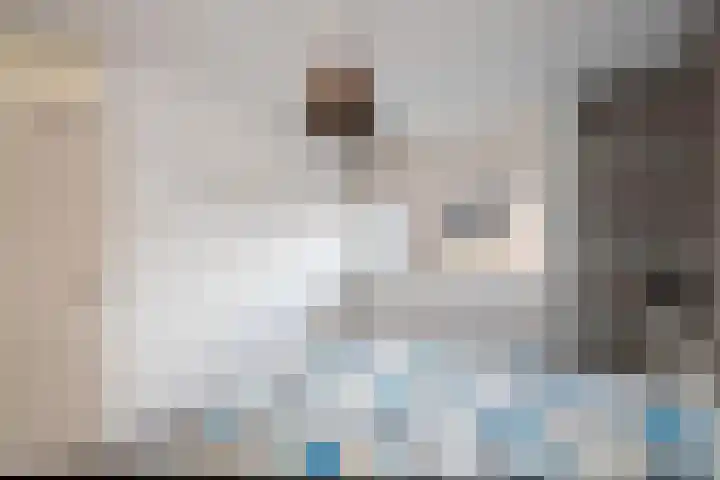 Schijfmos 20 Nieuwerkerk aan den IJssel thumbnail 12