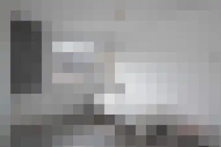Schijfmos 20 Nieuwerkerk aan den IJssel thumbnail 13