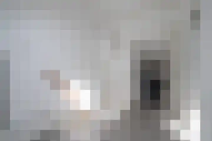 Schijfmos 20 Nieuwerkerk aan den IJssel thumbnail 19