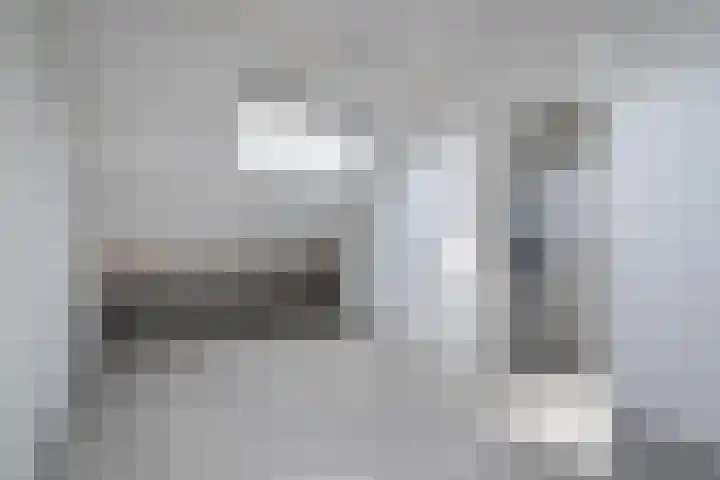 Schijfmos 20 Nieuwerkerk aan den IJssel thumbnail 20