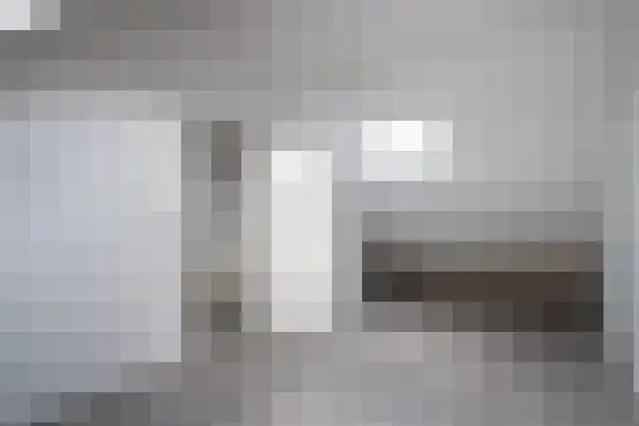 Schijfmos 20 Nieuwerkerk aan den IJssel thumbnail 21