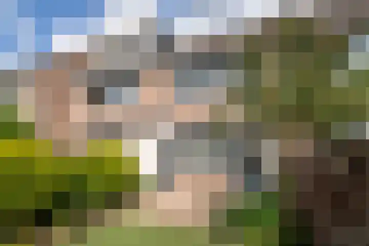 Schijfmos 20 Nieuwerkerk aan den IJssel thumbnail 22