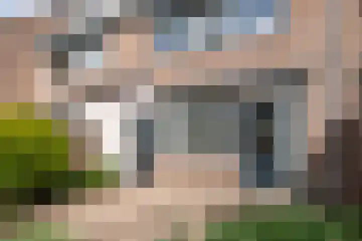 Schijfmos 20 Nieuwerkerk aan den IJssel thumbnail 24
