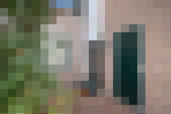 Schijfmos 20 Nieuwerkerk aan den IJssel thumbnail 25