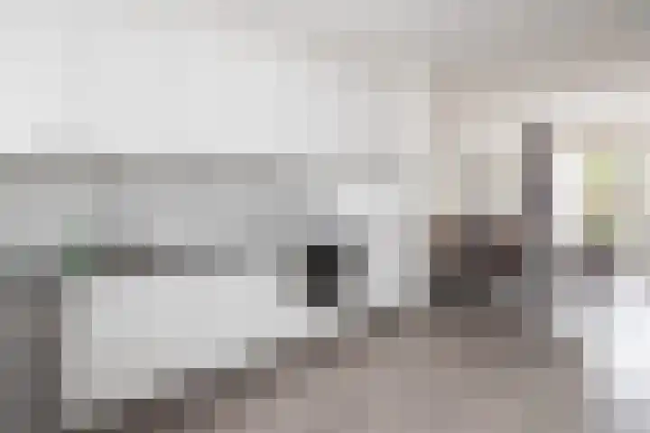 Schijfmos 20 Nieuwerkerk aan den IJssel thumbnail 4