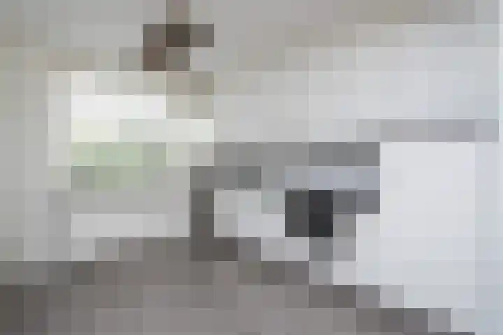 Schijfmos 20 Nieuwerkerk aan den IJssel thumbnail 6