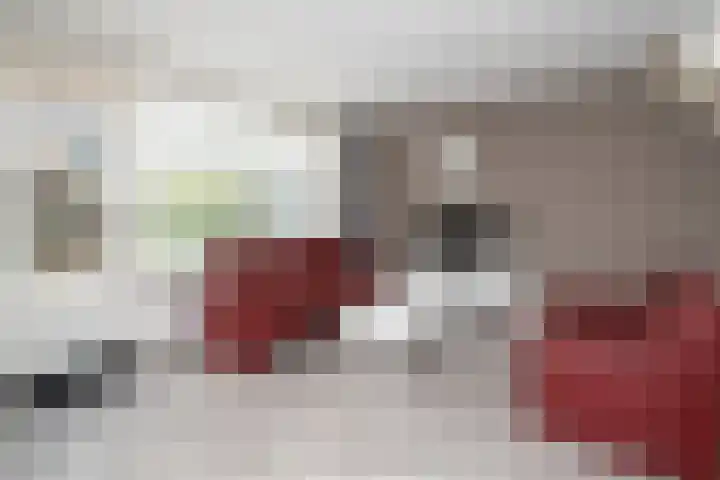 Schijfmos 20 Nieuwerkerk aan den IJssel thumbnail 7