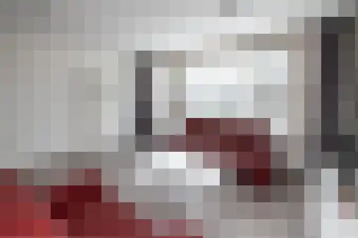 Schijfmos 20 Nieuwerkerk aan den IJssel thumbnail 8