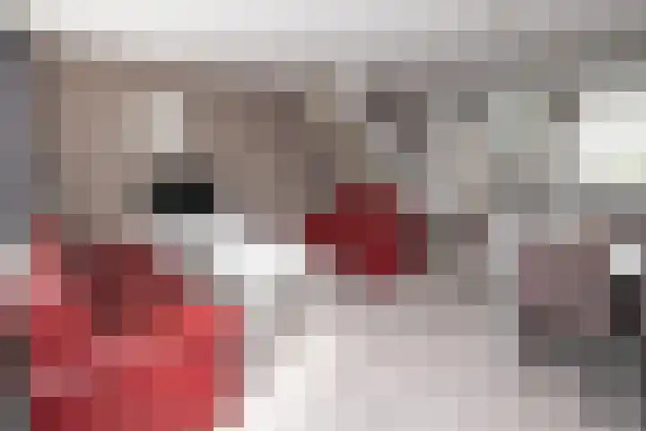 Schijfmos 20 Nieuwerkerk aan den IJssel thumbnail 9