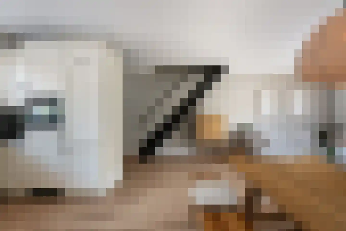 Schijfmos 21 Nieuwerkerk aan den IJssel thumbnail 10