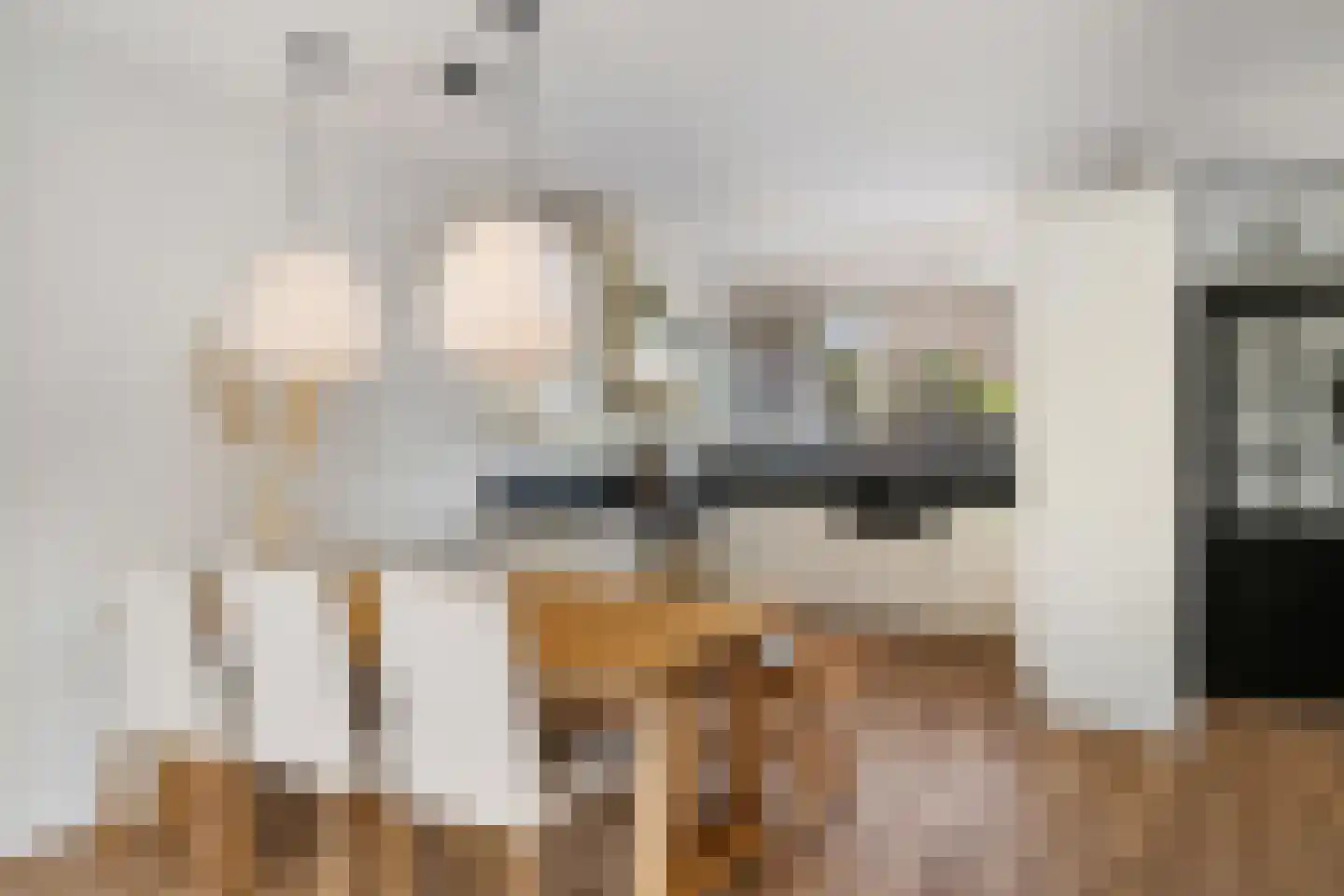 Schijfmos 21 Nieuwerkerk aan den IJssel thumbnail 11