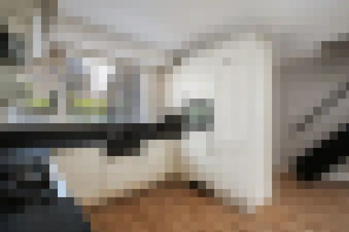 Schijfmos 21 Nieuwerkerk aan den IJssel thumbnail 12