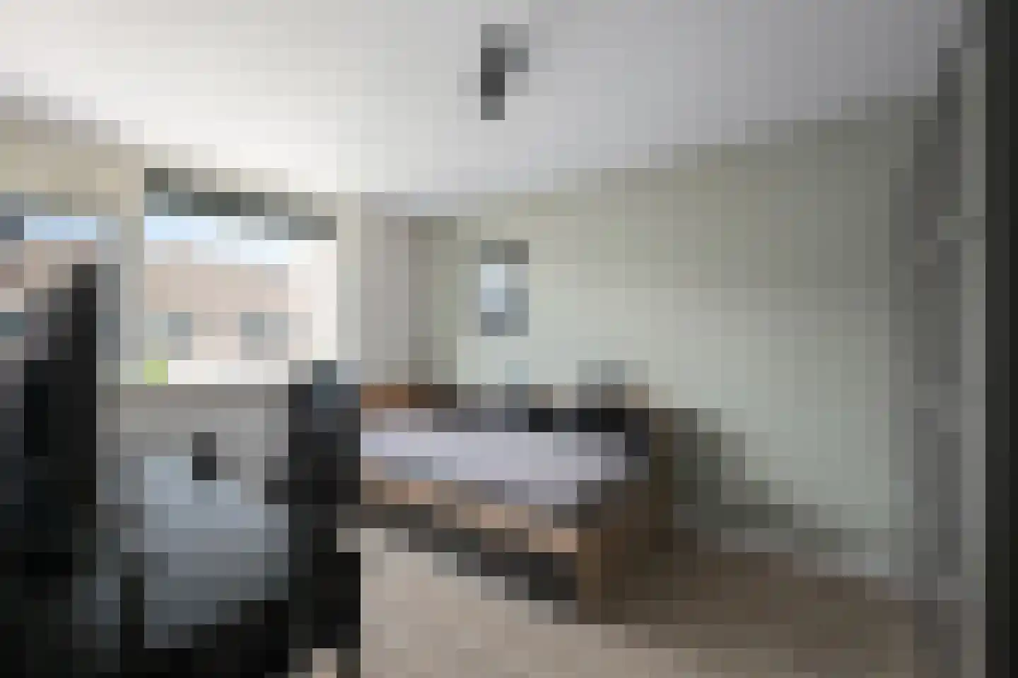 Schijfmos 21 Nieuwerkerk aan den IJssel thumbnail 17