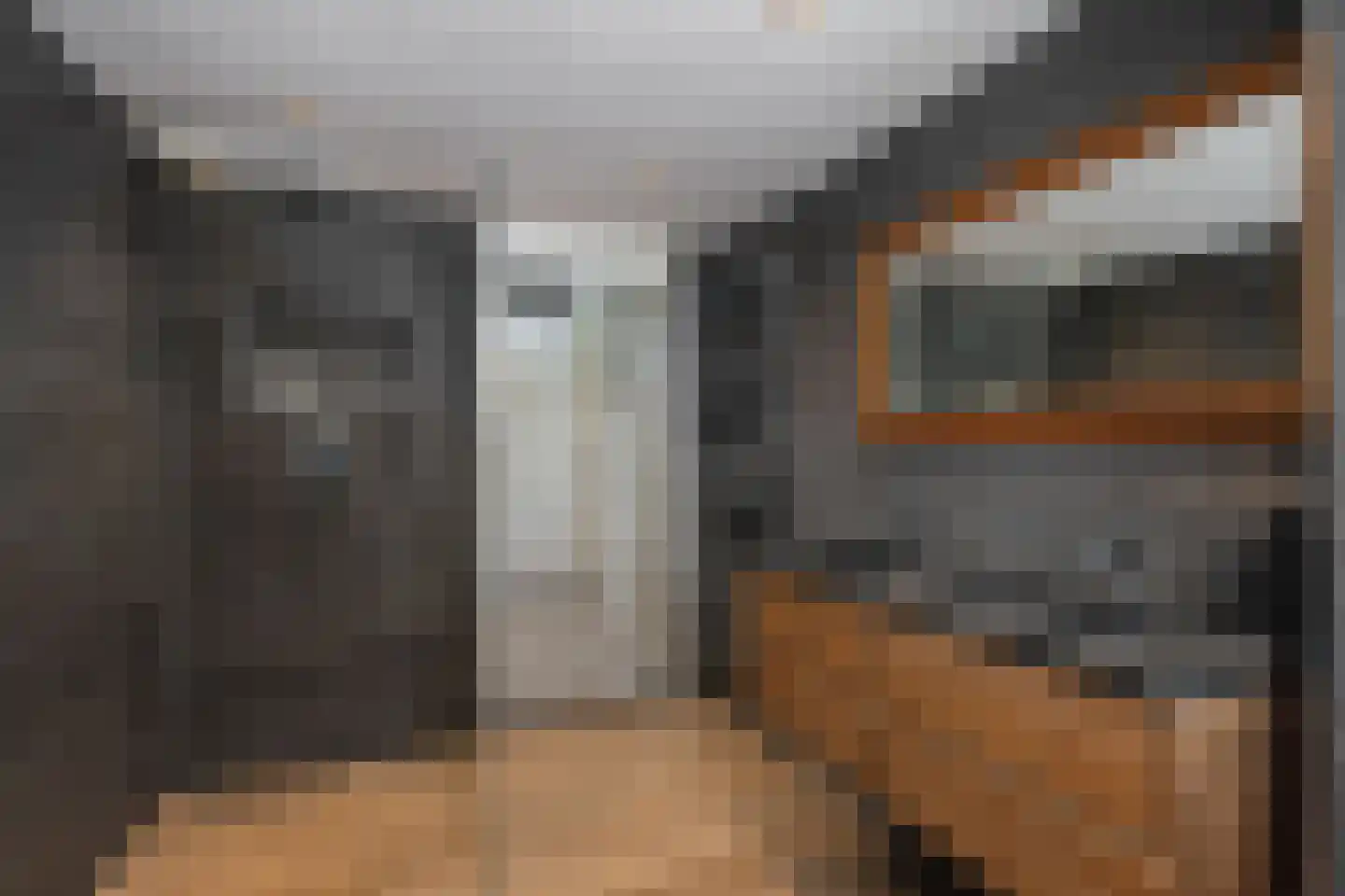 Schijfmos 21 Nieuwerkerk aan den IJssel thumbnail 20
