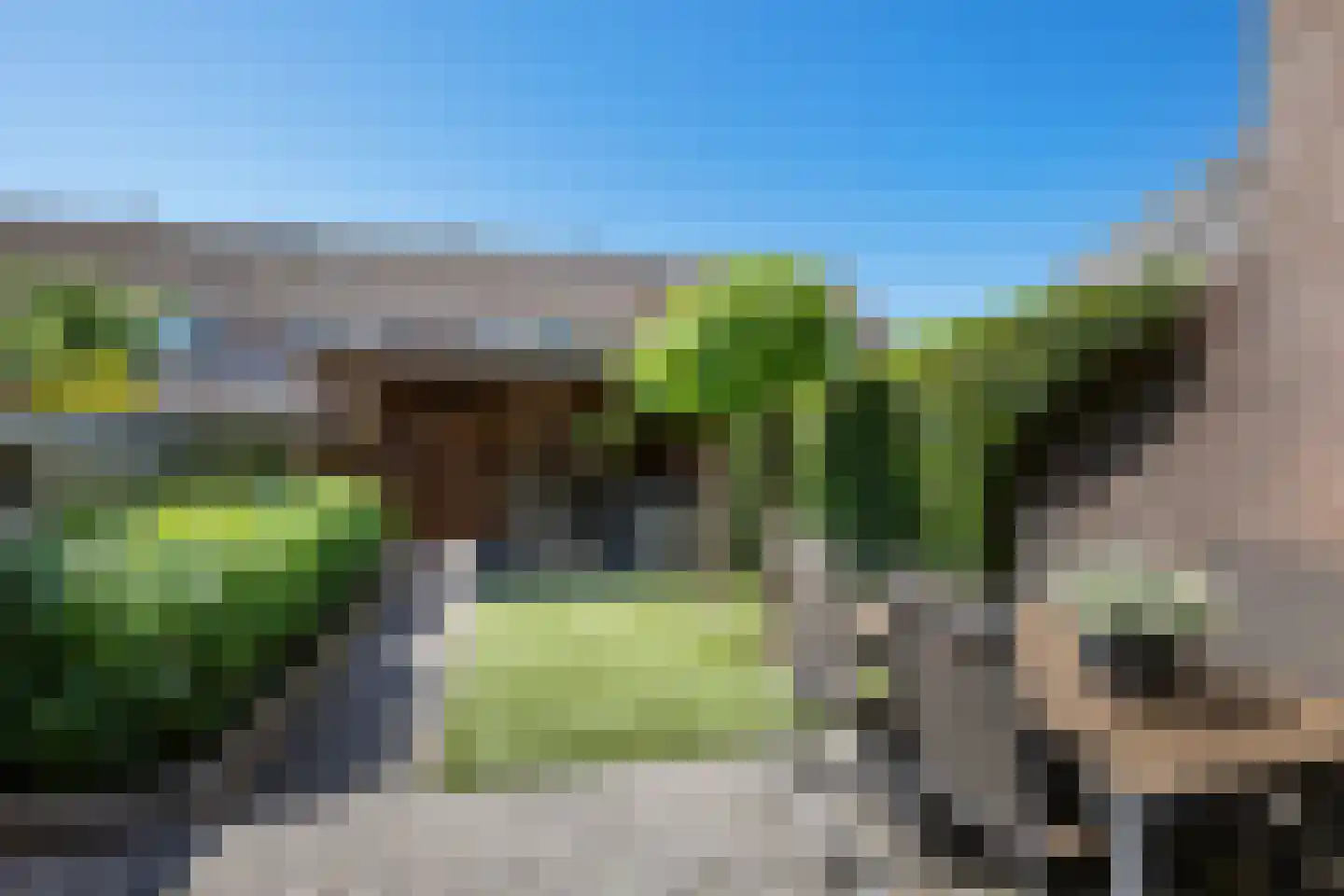 Schijfmos 21 Nieuwerkerk aan den IJssel thumbnail 27
