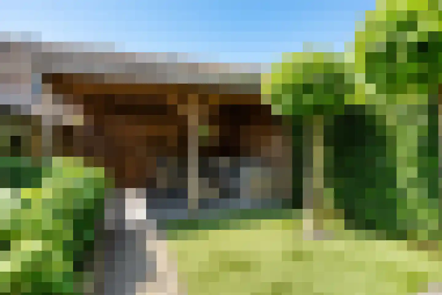 Schijfmos 21 Nieuwerkerk aan den IJssel thumbnail 28