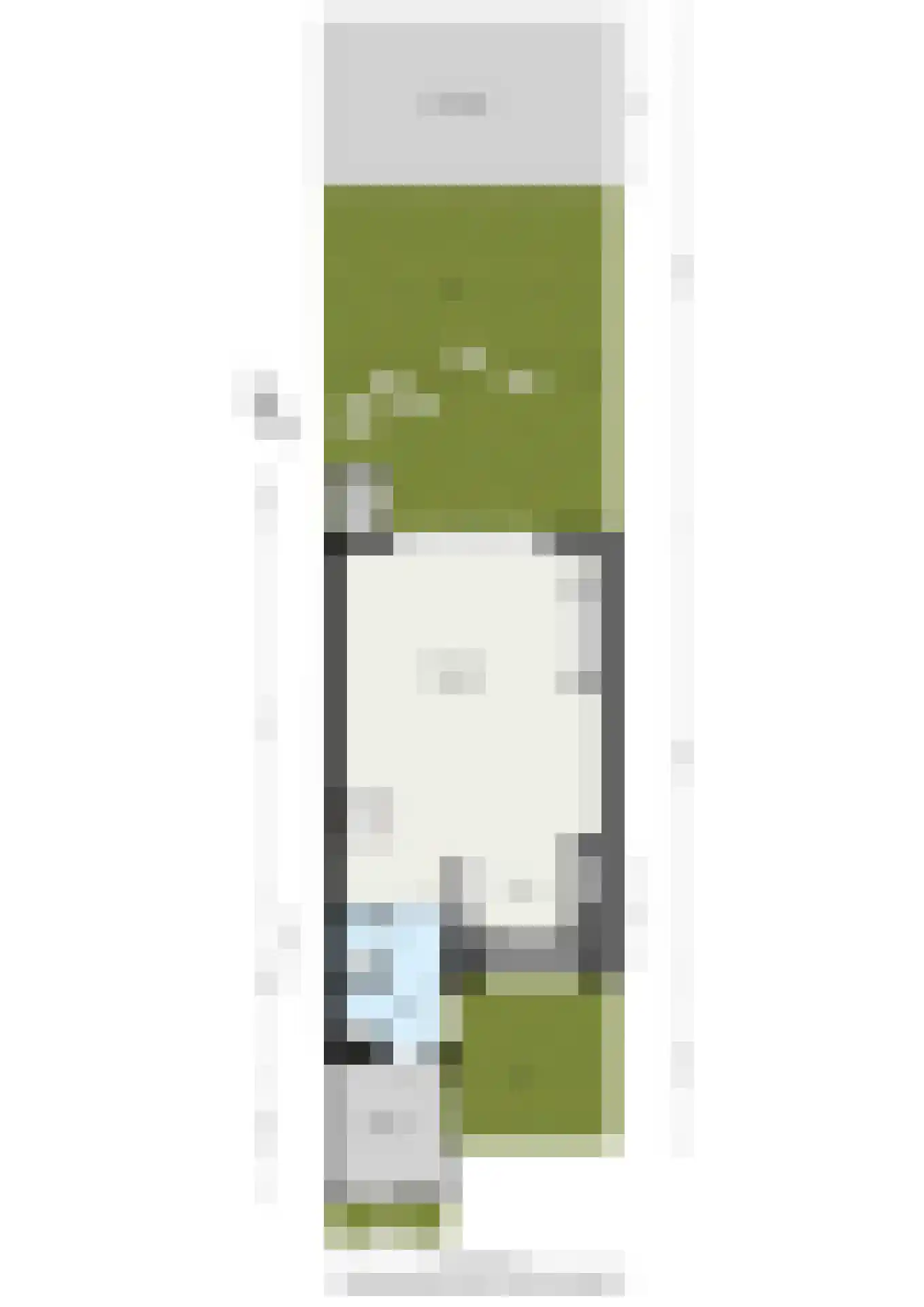 Schijfmos 21 Nieuwerkerk aan den IJssel thumbnail 39
