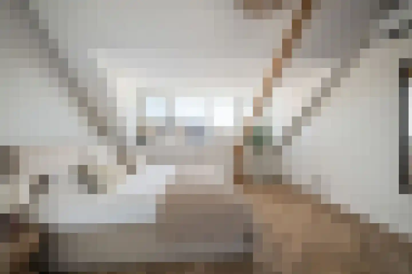 Schijfmos 21 Nieuwerkerk aan den IJssel thumbnail 4