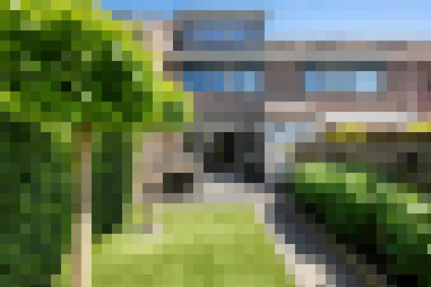 Schijfmos 21 Nieuwerkerk aan den IJssel thumbnail 5