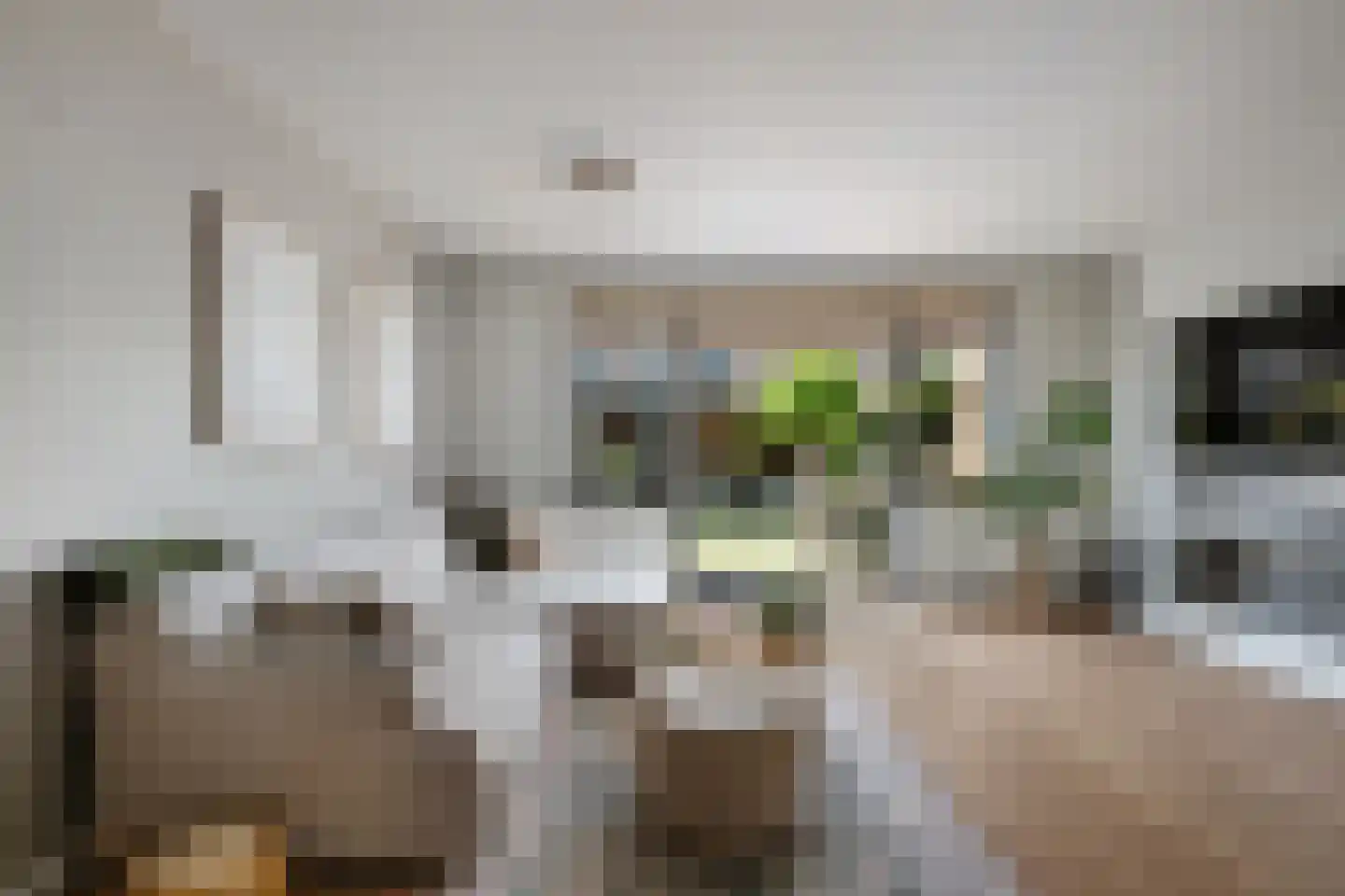 Schijfmos 21 Nieuwerkerk aan den IJssel thumbnail 7