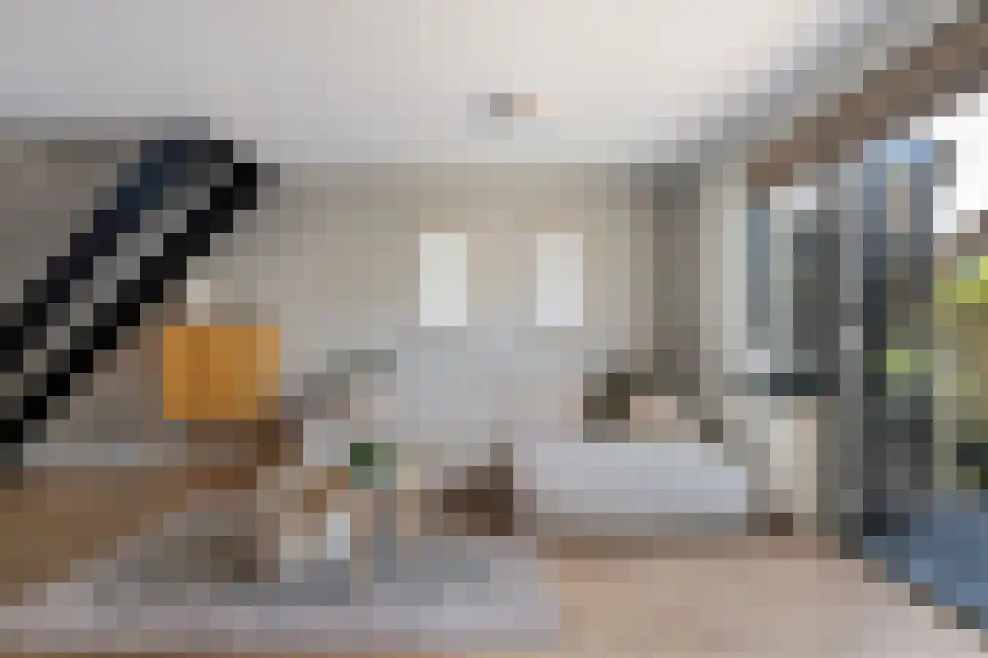 Schijfmos 21 Nieuwerkerk aan den IJssel thumbnail 8