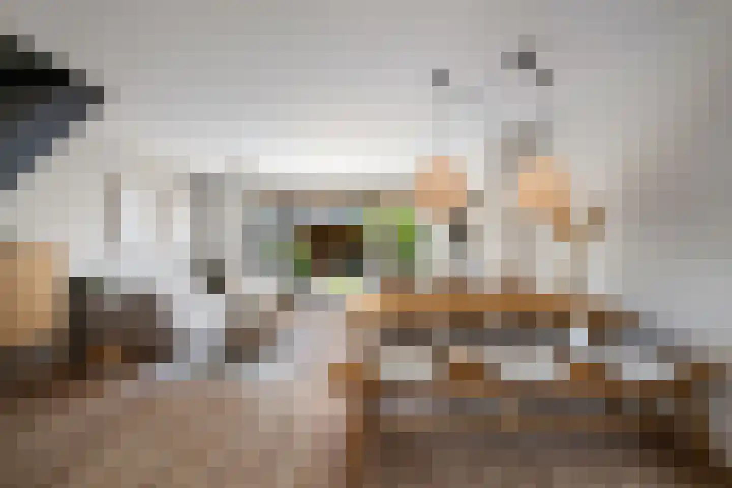 Schijfmos 21 Nieuwerkerk aan den IJssel thumbnail 9