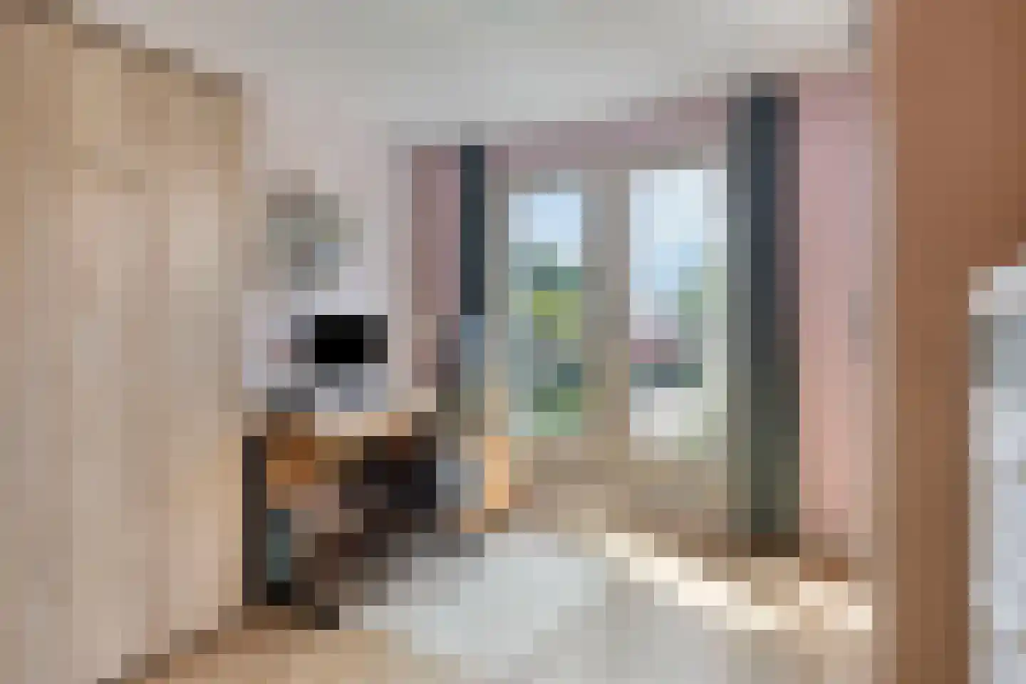 Schijfmos 39 Houten thumbnail 18